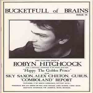 Robyn Hitchcock - Happy The Golden Prince download mp3