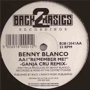 Benny Blanco - Remember Me ? (Remixes) download mp3