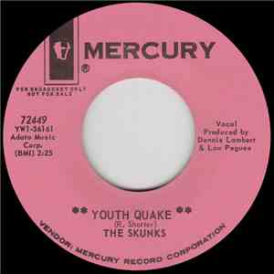 The Skunks  - Youth Quake download mp3