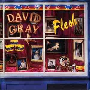 David Gray - Flesh download mp3