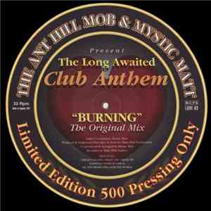 Mystic Matt & Anthill Mob - Burning mp3 download