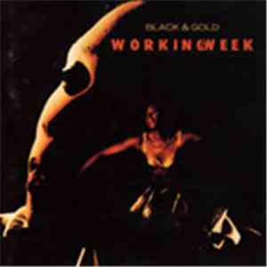 Working Week - Black & Gold download mp3