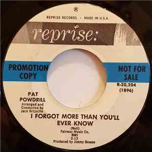 Pat Powdrill - I Forgot More Than You'll Ever Know download mp3