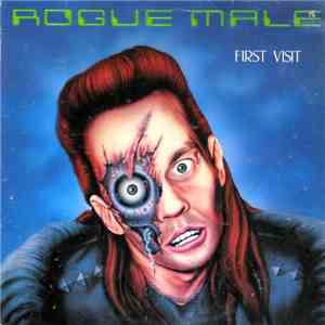 Rogue Male - First Visit download mp3