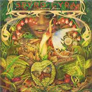 Spyro Gyra - Morning Dance download mp3