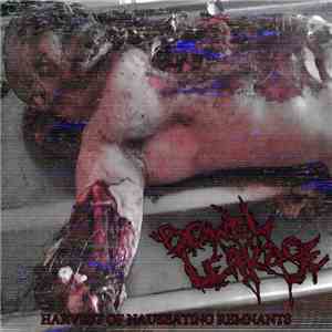 Bowel Leakage - Harvest Of Nauseating Remnants download mp3