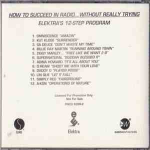 Various - How To Succeed In Radio...Without Really Trying (Elektra's 12-Step Program) download mp3