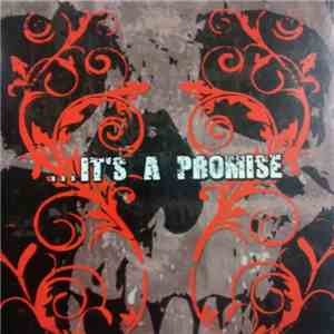 Various - Built To Last Records ... It's A Promise Compilation download mp3