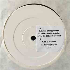 2nd Gen - Noise Sculptures EP download mp3