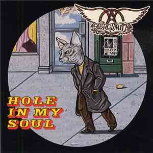 Aerosmith - Hole In My Soul download mp3