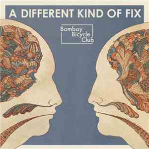 Bombay Bicycle Club - A Different Kind Of Fix download mp3