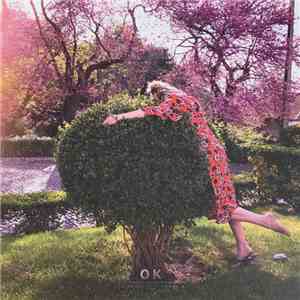 Janne Schra - OK download mp3