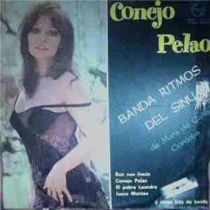 Banda Ritmos Del Sinu - Conejo Pelao download mp3