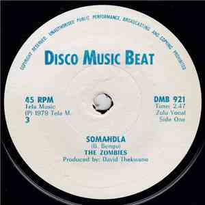 The Zombies  - Somandla / Thoko download mp3