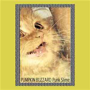 Pumpkin Buzzard - Punk Slime download mp3