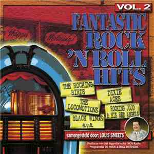 Various - Fantastic Rock 'N Roll Hits Vol.2 mp3 download