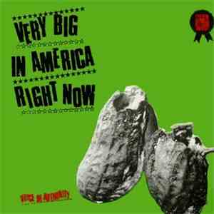 Voice Of Authority - Very Big In America Right Now download mp3