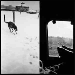 Braveyoung - We Are Lonely Animals download mp3