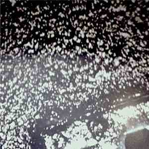 Mold Omen / Lovebrrd - Split download mp3