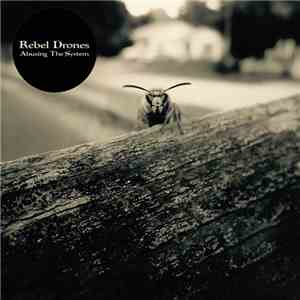 Rebel Drones - Abusing The System download mp3