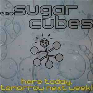 The Sugarcubes - Here Today, Tomorrow Next Week! download mp3