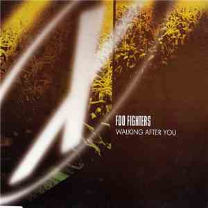 Foo Fighters - Walking After You download mp3