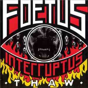 Foetus Interruptus - Thaw download mp3