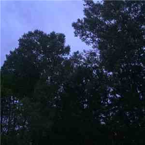 Louis Rain - 4​:​36 AM download mp3
