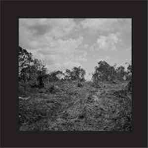 Bookworms - Compact Visual Nature mp3 download
