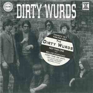 Dirty Wurds - Not This One download mp3