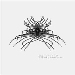 Anemone Tube - Dream Landscape mp3 download