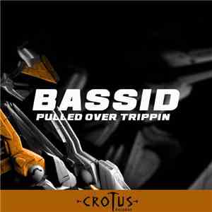 Bassid - Pulled Over Trippin download mp3