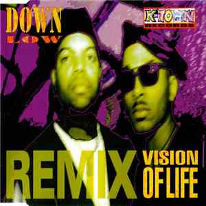 Down Low - Vision Of Life (Remix) mp3 download