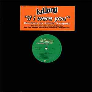 k.d. lang - If I Were You download mp3