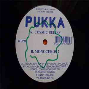 Pukka - Cosmic Belief download mp3