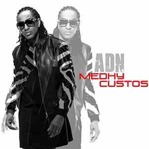 Médhy Custos - ADN download mp3