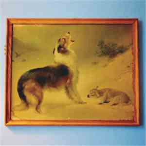 Explosions In The Sky - Travels In Constants (Vol. 21): The Rescue download mp3