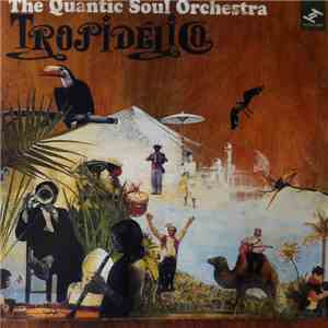 The Quantic Soul Orchestra - Tropidélico download mp3