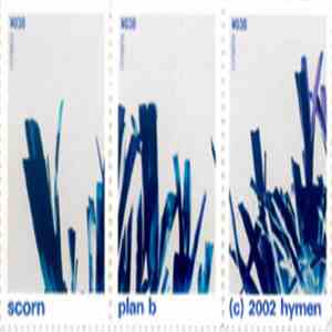 Scorn - Plan B download mp3