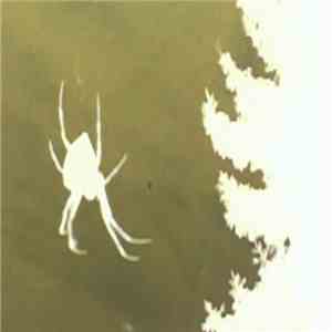 BØNGTHRØWER - Drenched In Death download mp3