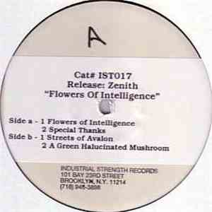 Zenith - The Flowers Of Intelligence download mp3