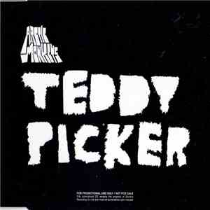 Arctic Monkeys - Teddy Picker download mp3