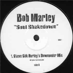 Bob Marley - Soul Shakedown mp3 download