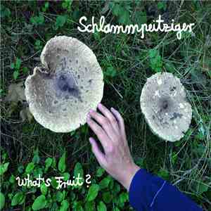 Schlammpeitziger - What's Fruit ? download mp3