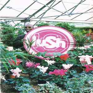 Lush - Lovelife download mp3
