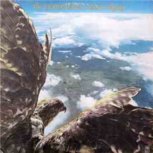 Hometown Band - Flying download mp3