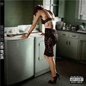 Skylar Grey - Don't Look Down download mp3