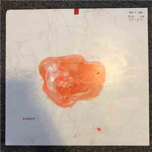 Sonic Youth - A Thousand Leaves download mp3