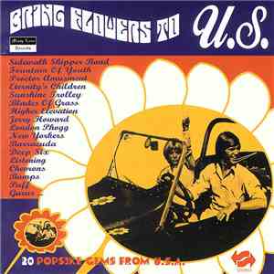 Various - Bring Flowers To U.S. (20 Popsike Gems From U.S.A.) download mp3