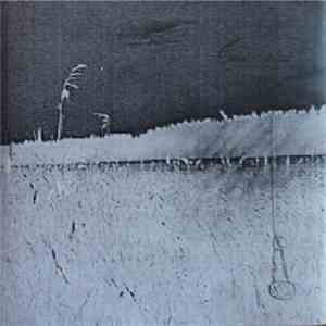 Basement Seed - The Flight download mp3